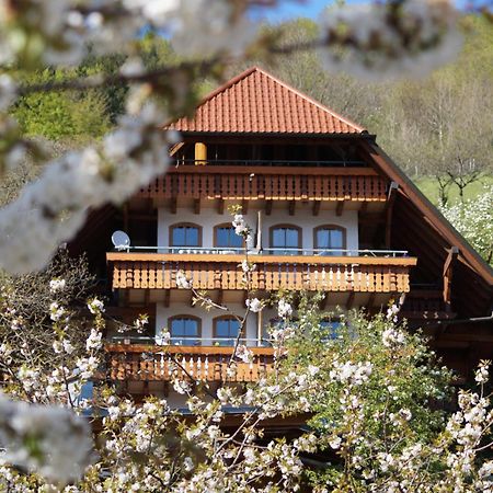 Kurparkhotel Faisst Бад-Петерсталь-Ґрісбах Екстер'єр фото