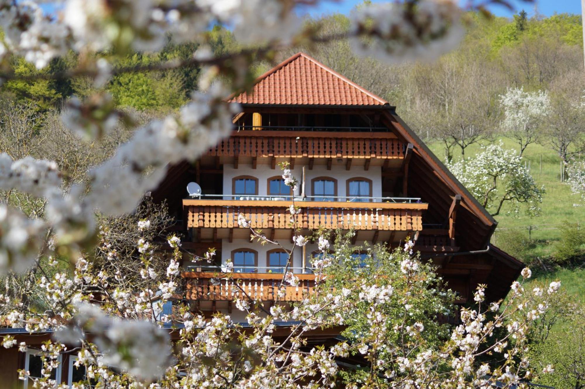 Kurparkhotel Faisst Бад-Петерсталь-Ґрісбах Екстер'єр фото